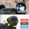 iDogシュシュ反射アイドッグ。