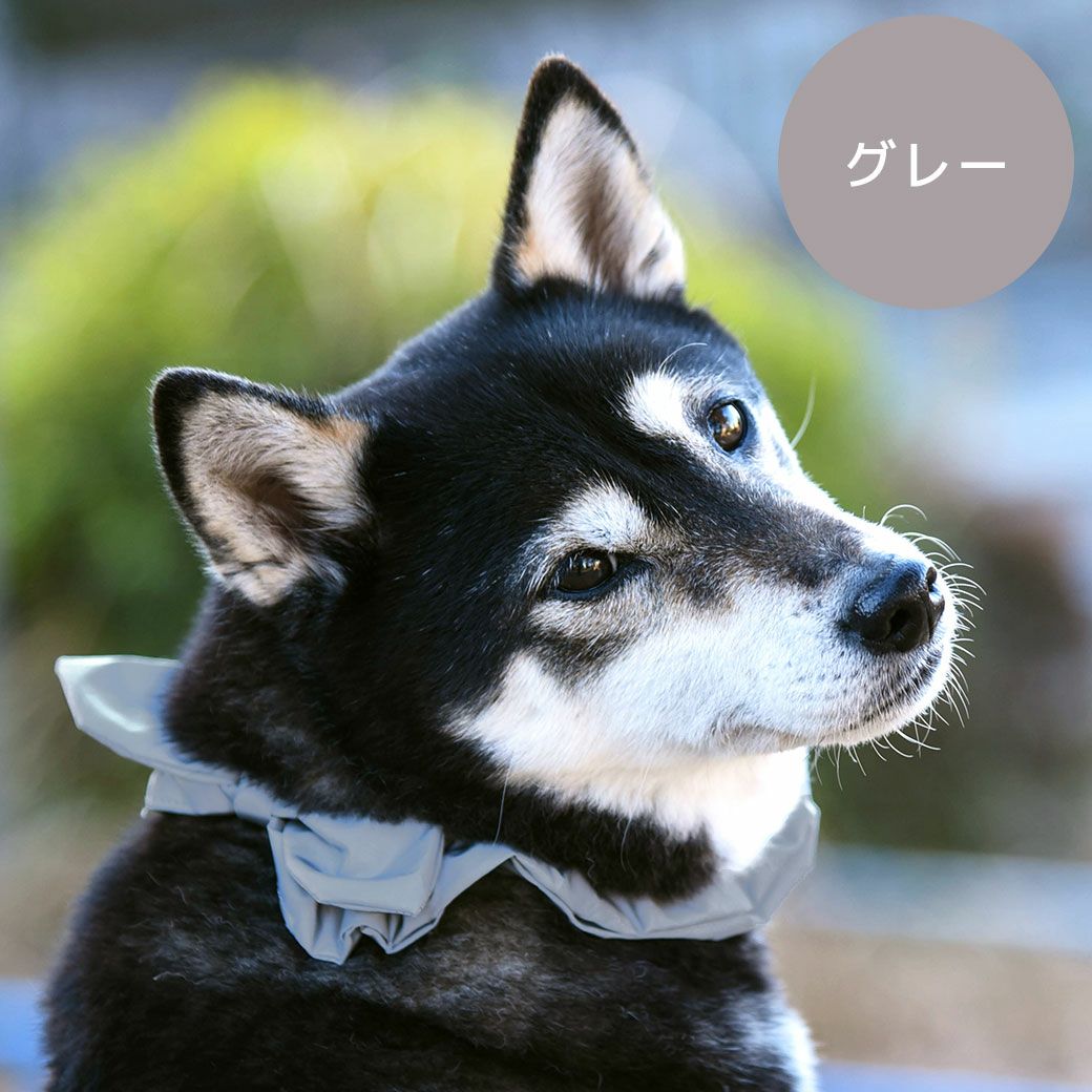 iDog シュシュ 反射 アイドッグ-犬猫ペット用品通販 IDOG&ICAT|ペット