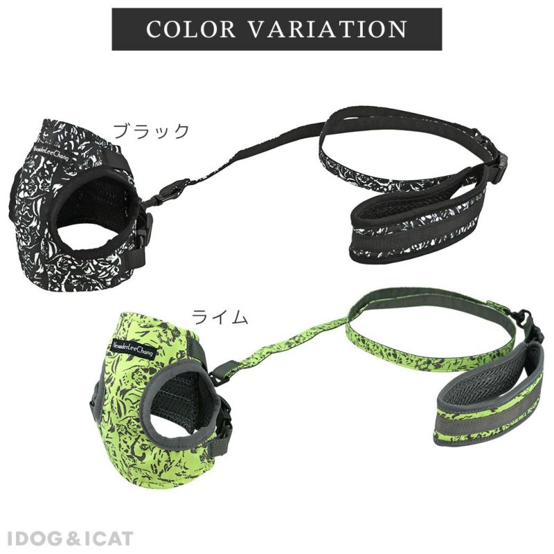 ネコ背　ELECTRIC KLEVELAND アジアンフィット PETZL ペツル ニュートン イージーフィット 国際Ver. (C073FA