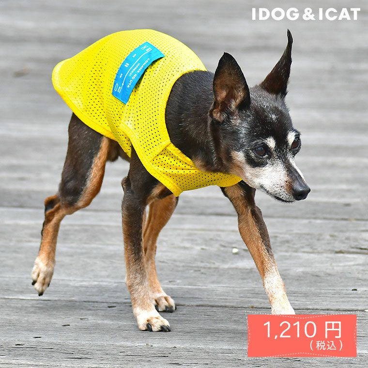 iDog プレイヤーポケットメッシュタンク アイドッグ-IDOGICAT|ペット 犬 服