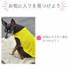 iDogプレイヤーポケットメッシュタンクアイドッグ。