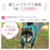 iDogプレイヤーポケットメッシュタンクアイドッグ。