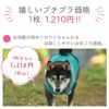 iDogプレイヤーポケットメッシュタンクアイドッグ。