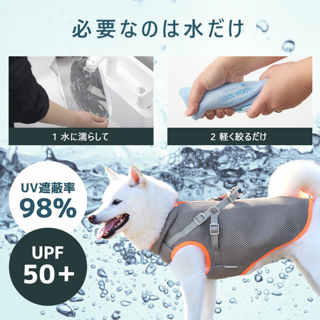 必要なのは水だけ！