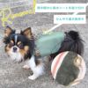 さらにひんやりリニューアル