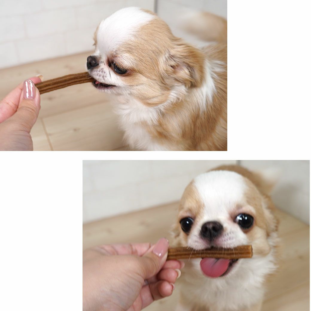 パピー様 パピー ALL NATURAL DAILY DENTAL TREAT FOR DOGS - WHIMZEES (日本語)