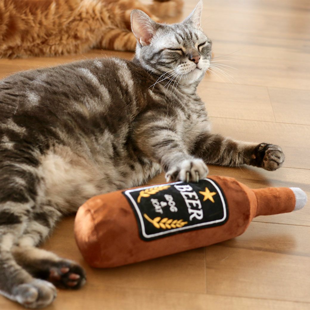 アメショ5.7kgのチーズくんも遊んでくれました