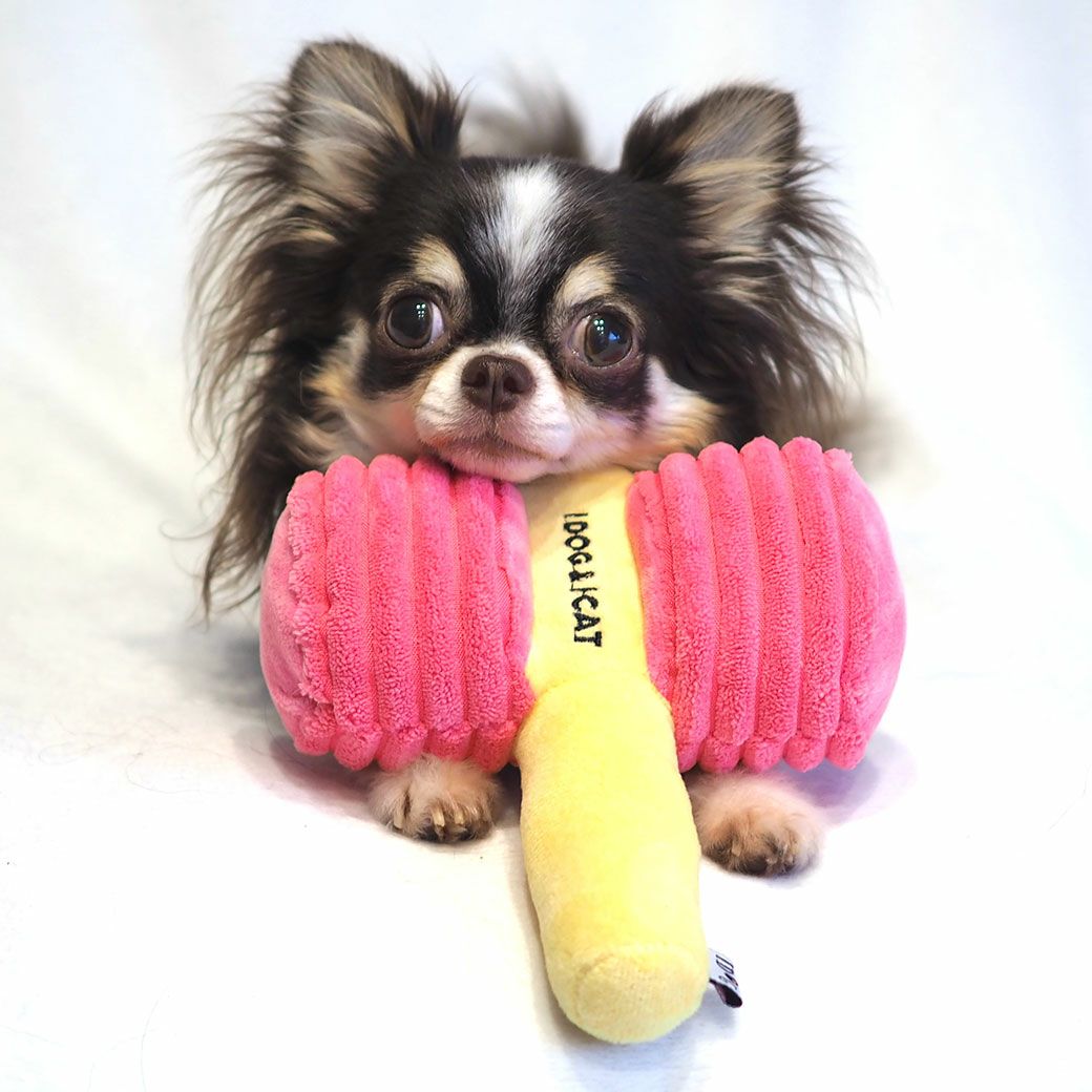 遊び方いろいろな布製おもちゃ