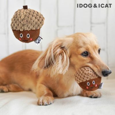 000000003008-01-m.jpg?t=