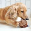 コロンと愛らしい犬用おもちゃ
