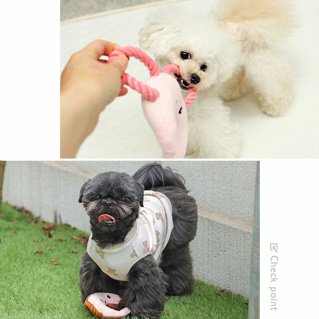 遊び方いろいろ