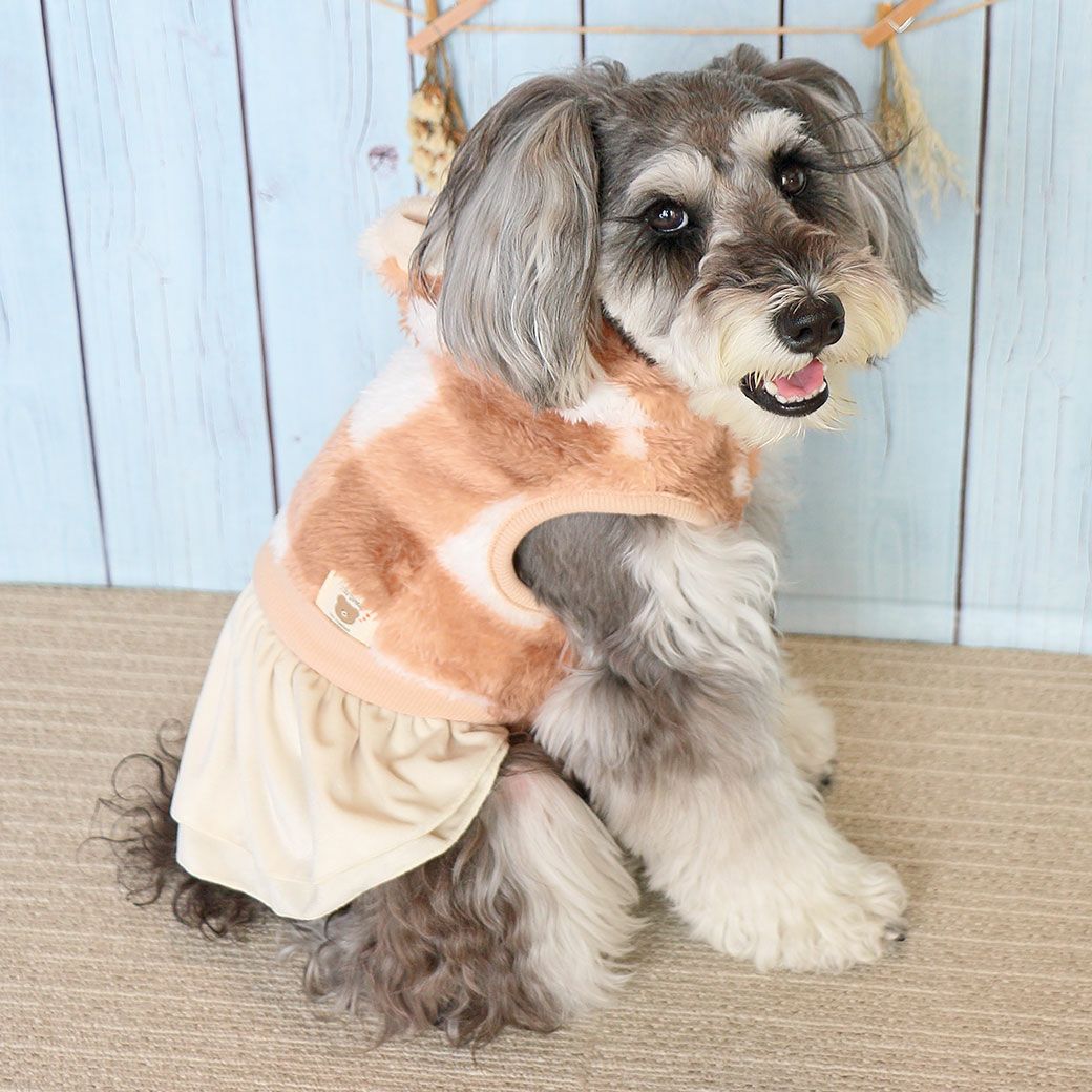 1枚でキュートにキマる