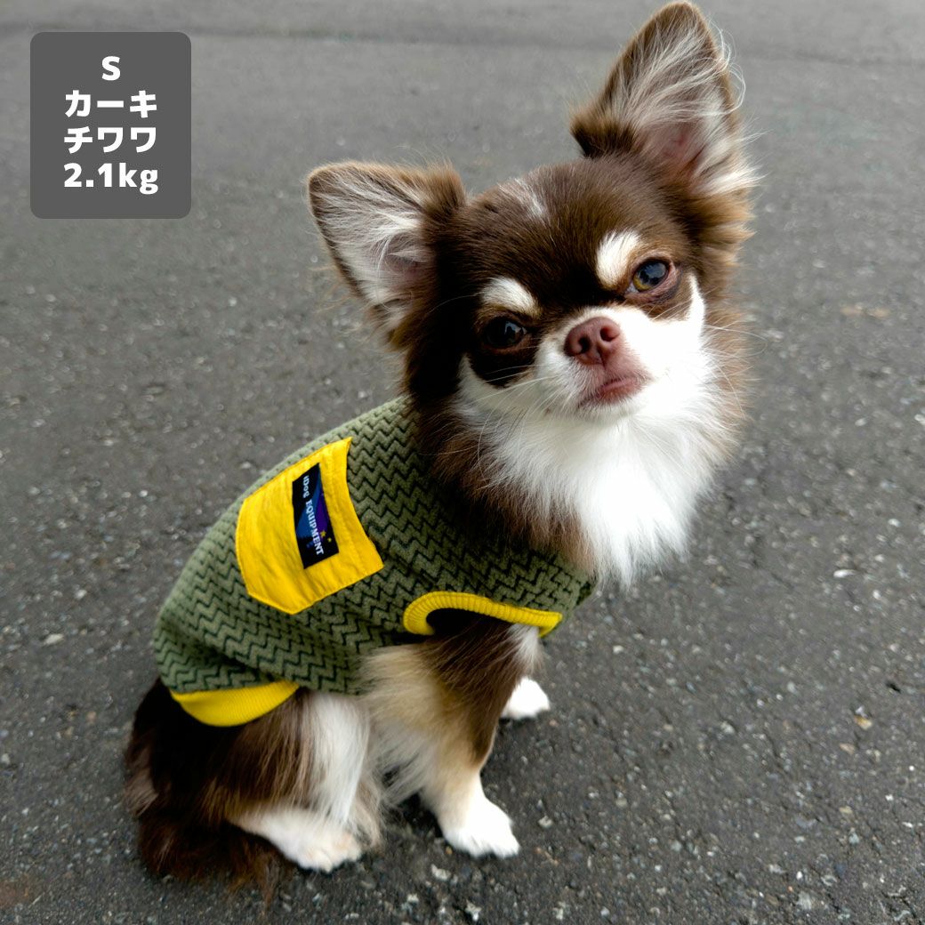 チワワ2.1kg(首19.5/胴30/丈30cm)のオリーブくんはカーキのSを着用