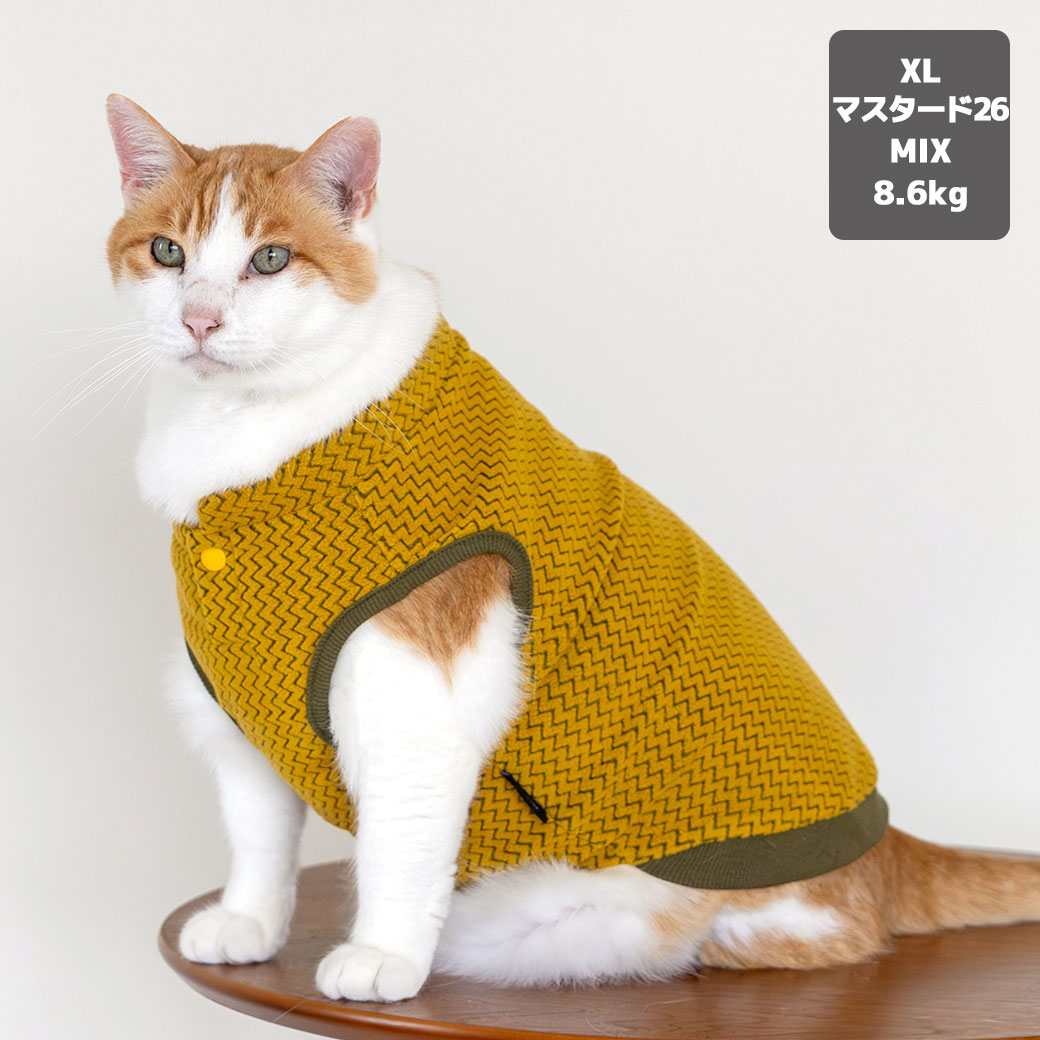 チワワ2.1kg(首19.5/胴30/丈30cm)のオリーブくんはカーキのSを着用