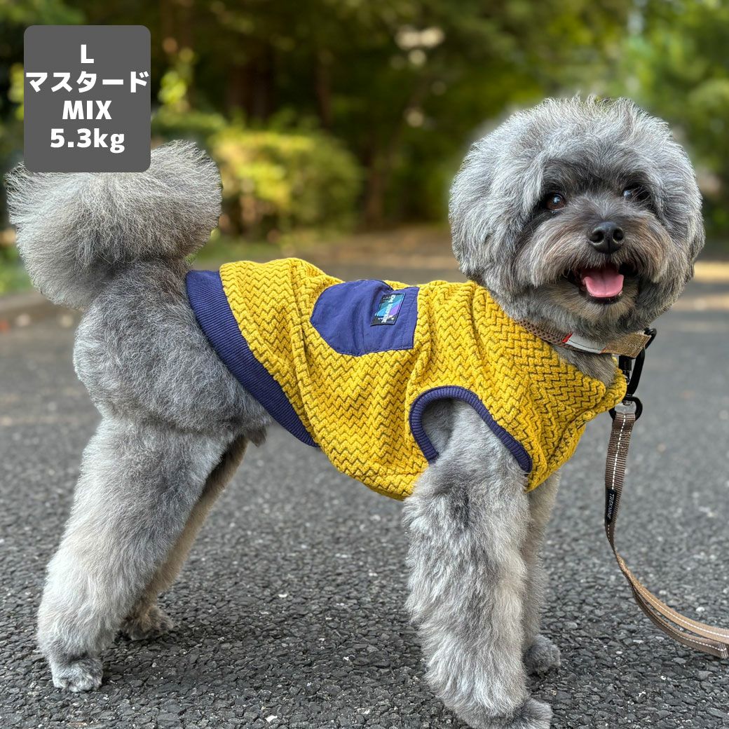 MIX5.3kg(首28/胴42/丈35cm)のごまくんはマスタードのLを着用