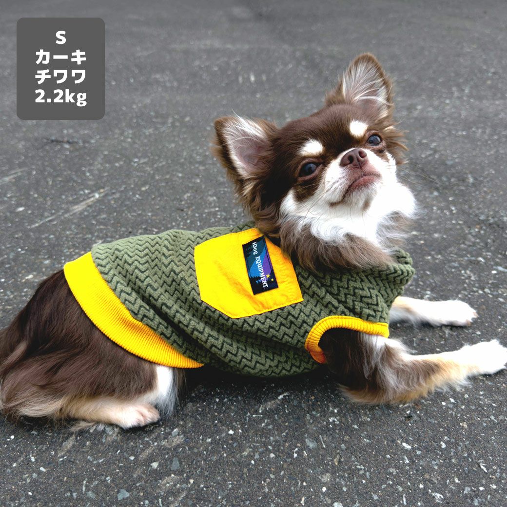 チワワ2.2kg(首18.5/胴30/丈30cm)のピクルスくんはカーキのSを着用