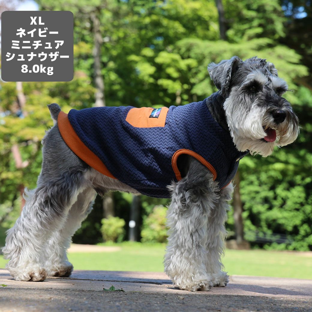ミニチュアシュナウザー8.0kg(首30/胴48/丈37cm)のマハロくんはネイビーのXLを着用
