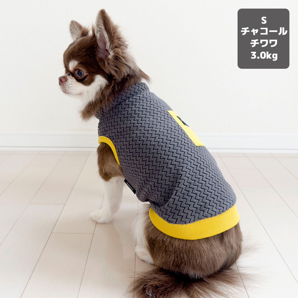 豆柴6.0kg(首31/胴45/丈33cm)のラテちゃんはグレーのLを着用