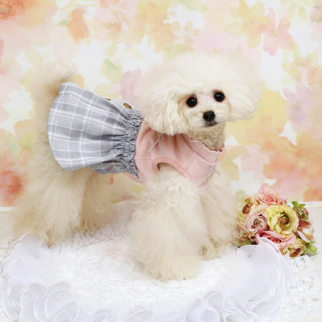 トイプー1.9kg(首17/胴29/丈22cm)のメリナちゃんはピンクのSを着用