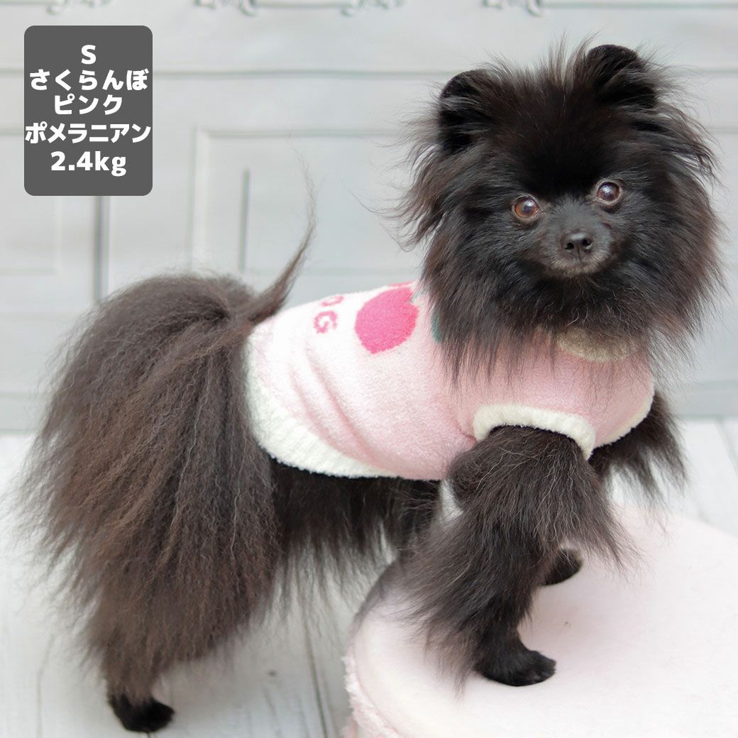 ポメラニアン2.4kg(首19/胴30/丈26cm)のはちみつちゃんはさくらんぼピンクのSを着用