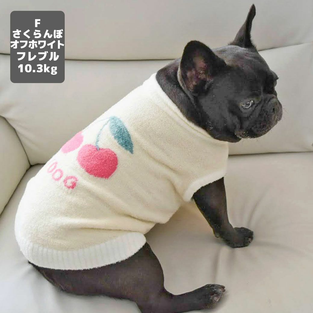 フレブル10.3kg(首38/胴56/丈34cm)のPcheちゃんはさくらんぼオフホワイトのFを着用
