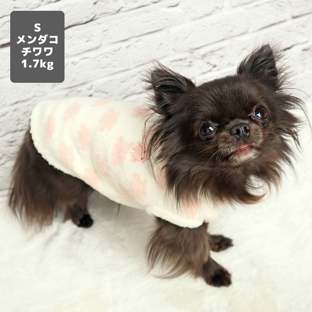 チワワ1.7kg(首19/胴28.5/丈21cm)の小桃ちゃんはメンダコのSを着用