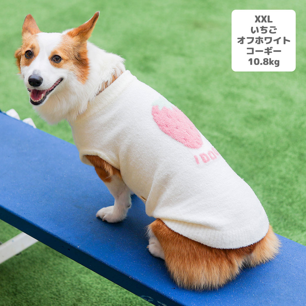 チワワ1.7kg(首19/胴28.5/丈21cm)の小桃ちゃんはメンダコのSを着用