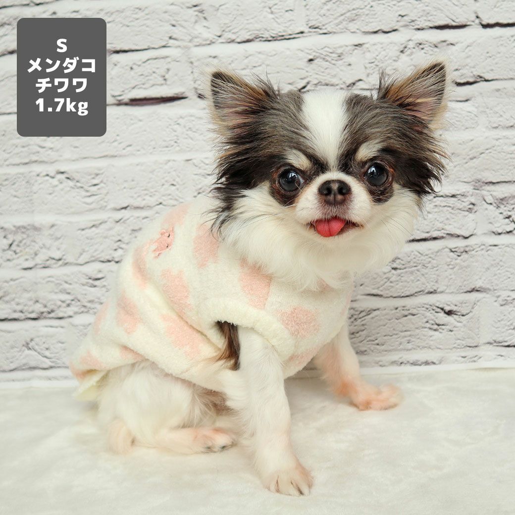 チワワ1.7kg(首18/胴27.5/丈18cm)の小真知ちゃんもメンダコのSを着用