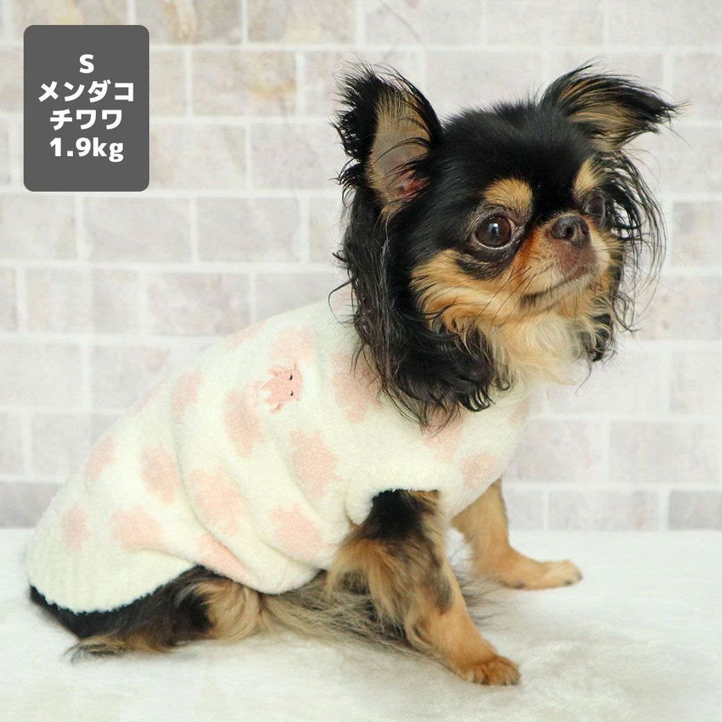 チワワ1.9kg(首19/胴29.5/丈21.5cm)のウメちゃんもメンダコのSを着用