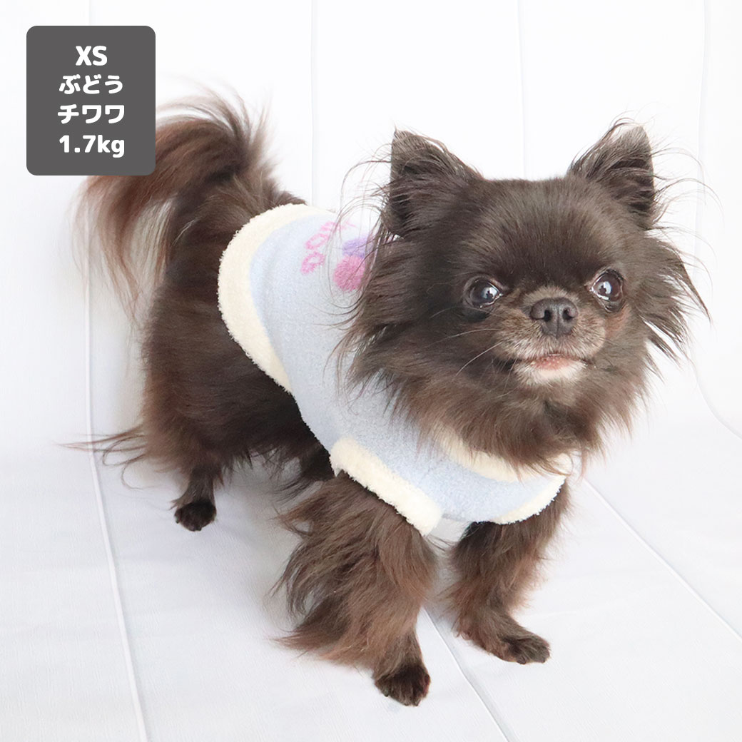 チワワ1.9kg(首19/胴29.5/丈21.5cm)のウメちゃんもメンダコのSを着用