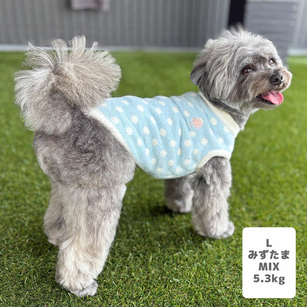 MIX5.3kg(首28/胴42/丈35cm)のごまくんはみずたまのLを着用