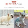 動きやすい工夫がいっぱいの犬用腹巻