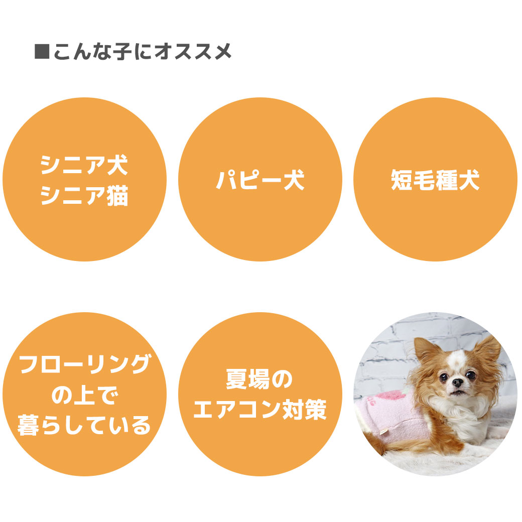 腹巻が必要な理由