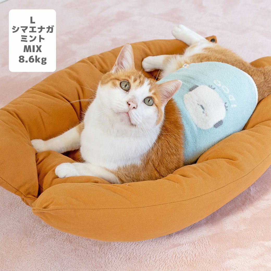 MIX8.6kg(首25/胴54/丈34cm)のゆづるくんはシマエナガミントのLを着用