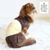 カニヘンダックス5.6kg(首35/胴43/丈37cm)のハクくんはメンダコイエローのMを着用