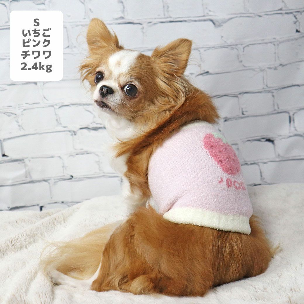 チワワ2.4kg(首22/胴32/丈26cm)のくらんちゃんはいちごピンクのSを着用