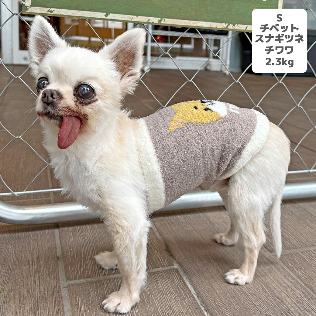 チワワ2.4kg(首22/胴32/丈26cm)のくらんちゃんはいちごピンクのSを着用