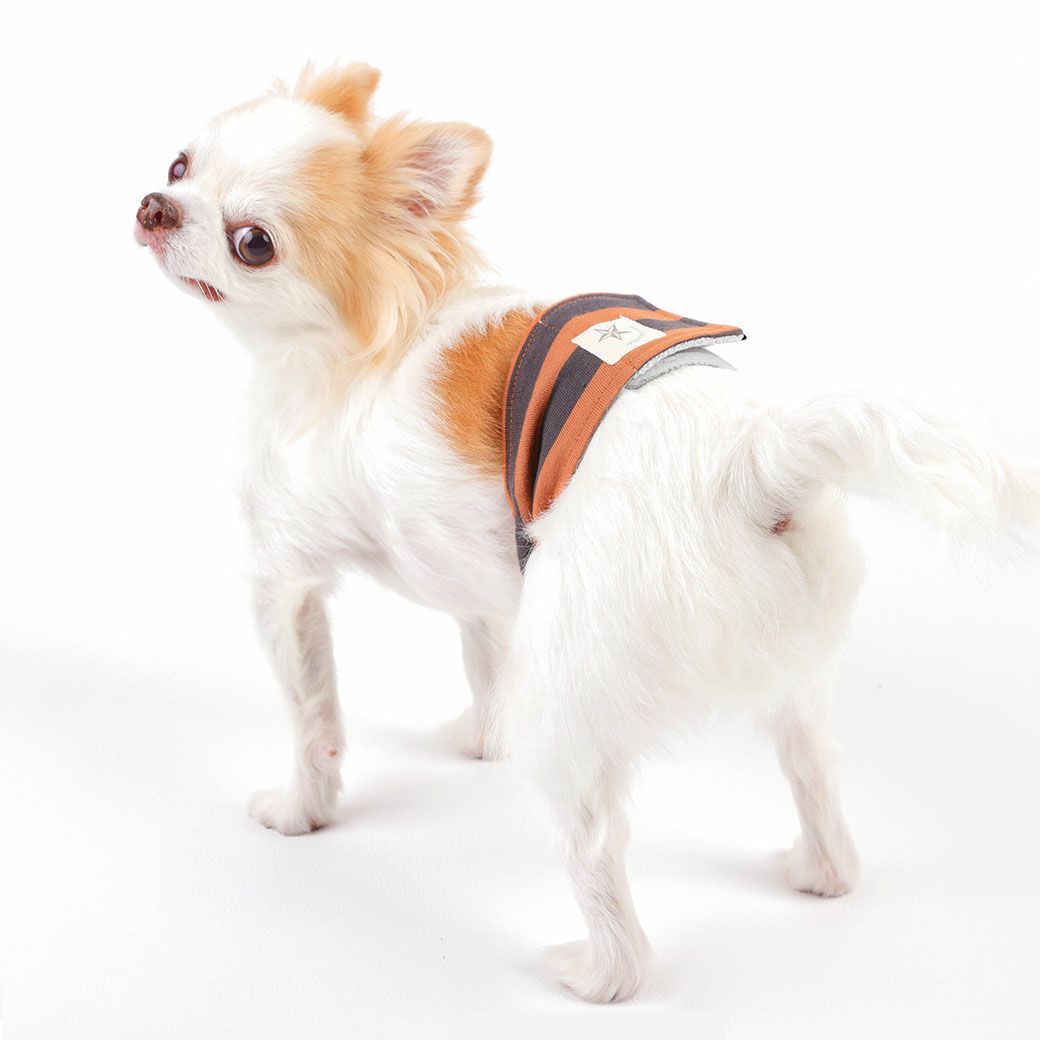 見た目もかわいいマナーバンド