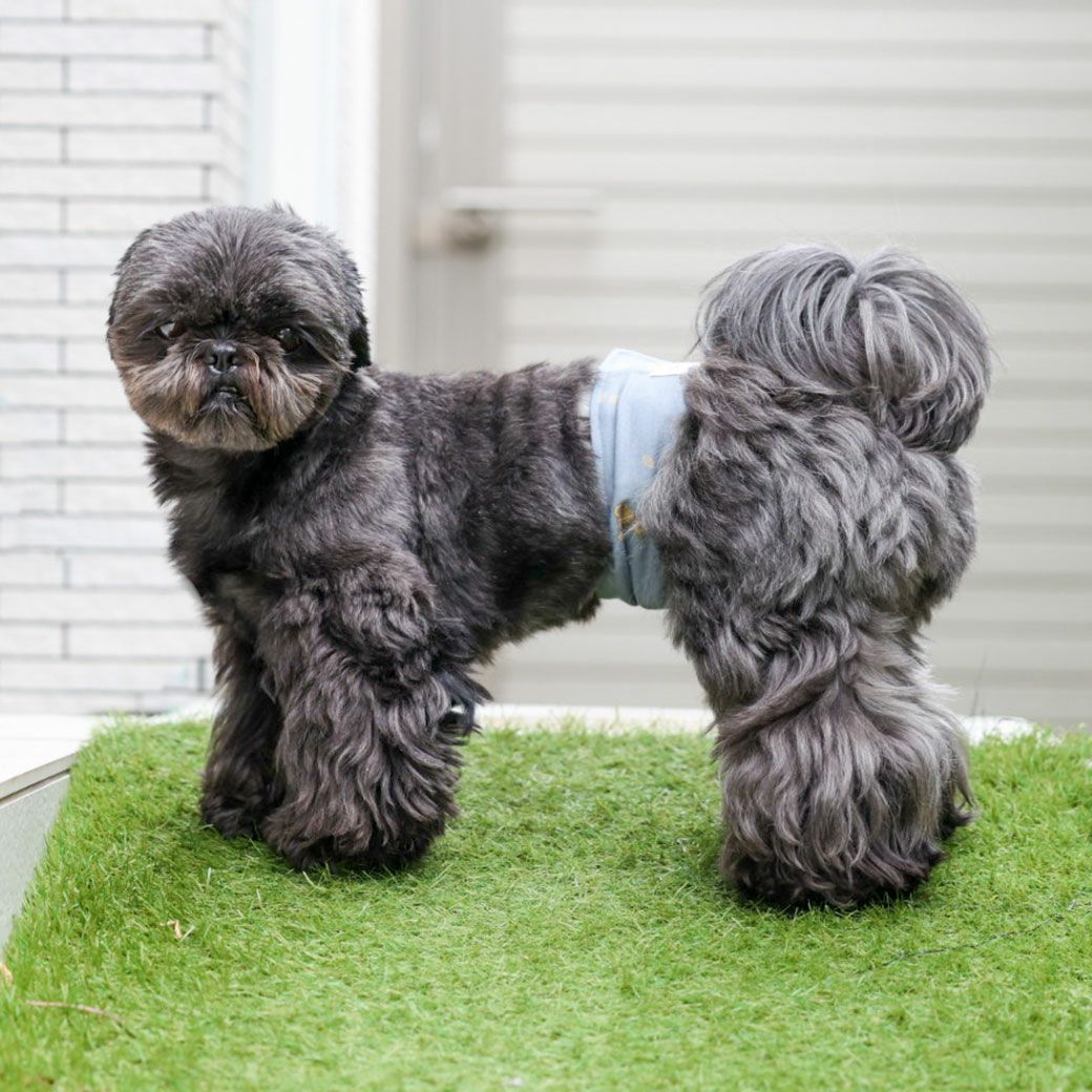 お散歩やカフェタイムにも