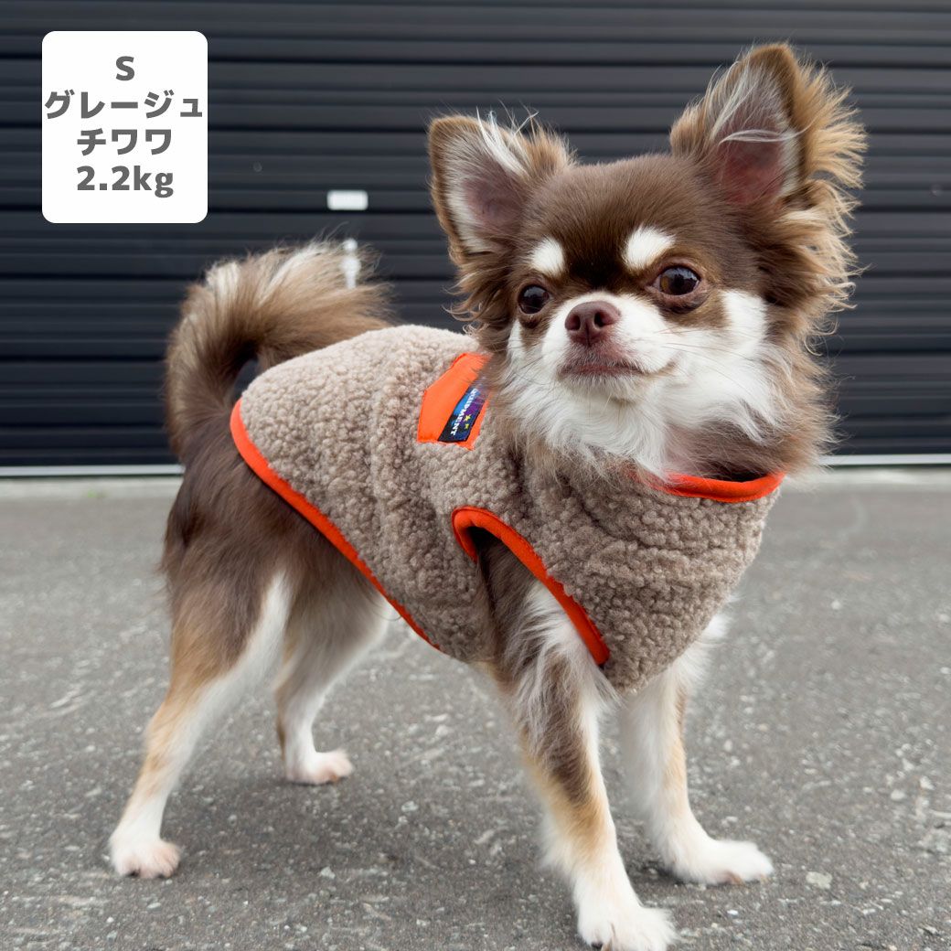 チワワ2.2kg(首18.5/胴30/丈30cm)のピクルスくんはグレージュのSを着用