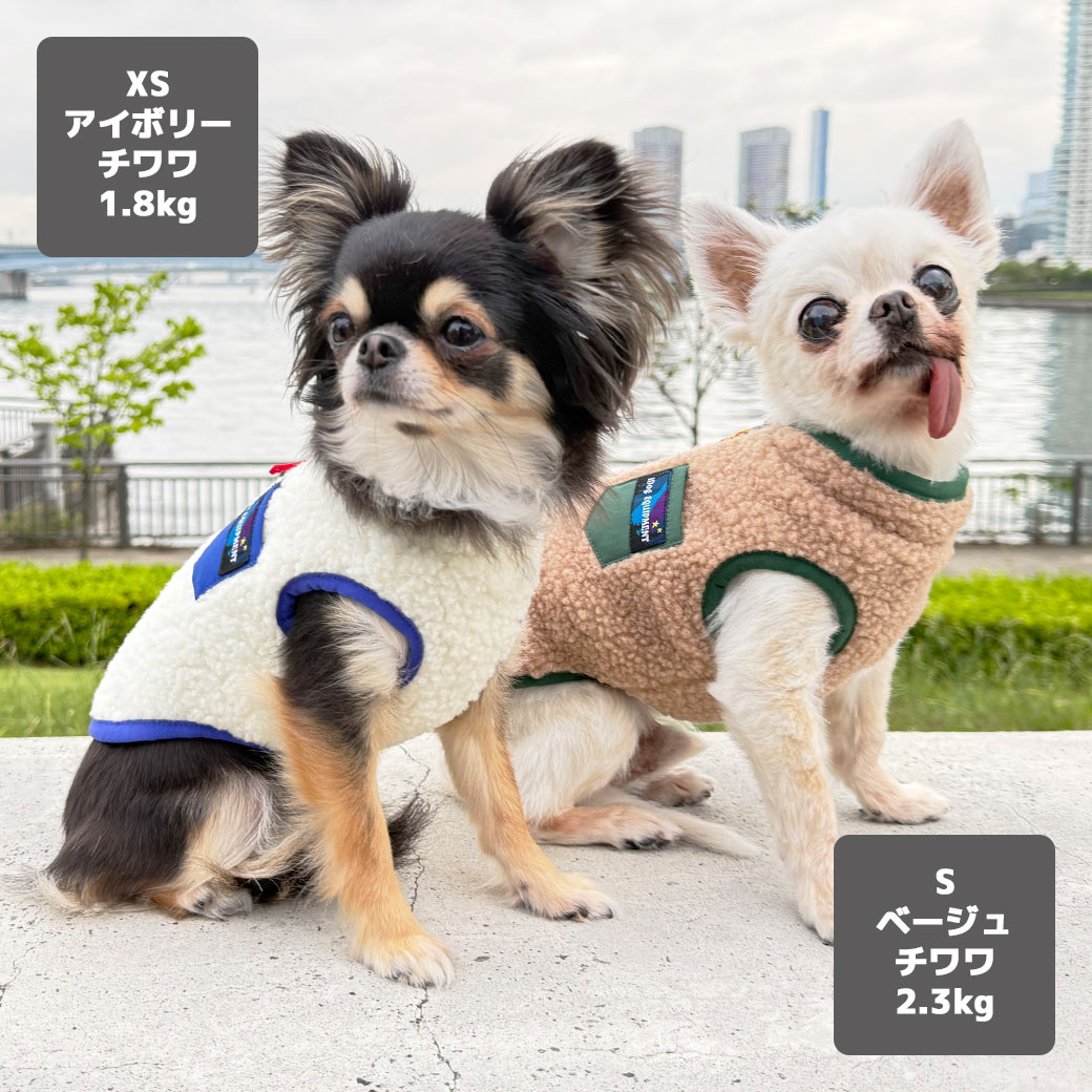 シーズー5.4kg(首26/胴38/丈38cm)のつぶくんはアッシュブルーのLを着用