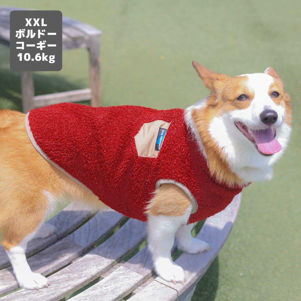 コーギー10.6kg(首36/胴51/丈37cm)のラテちゃんはボルドーのXXLを着用