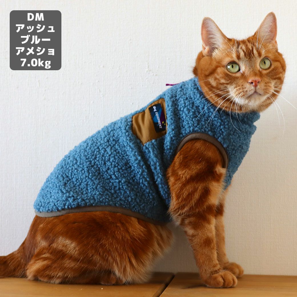 アメショ7.0kg(首28/胴48/丈28cm)のタラくんはアッシュブルーのDM着用