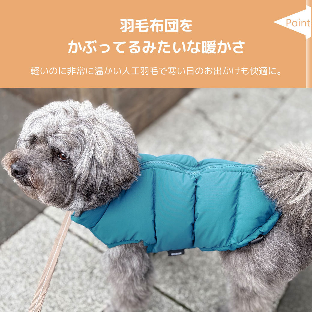 オシャレなカラー展開