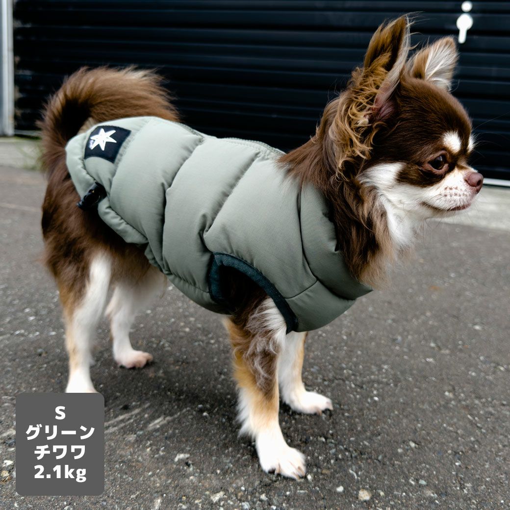 チワワ2.1kg(首19.5/胴30/丈30cm)のオリーブくんはグリーンのSを着用