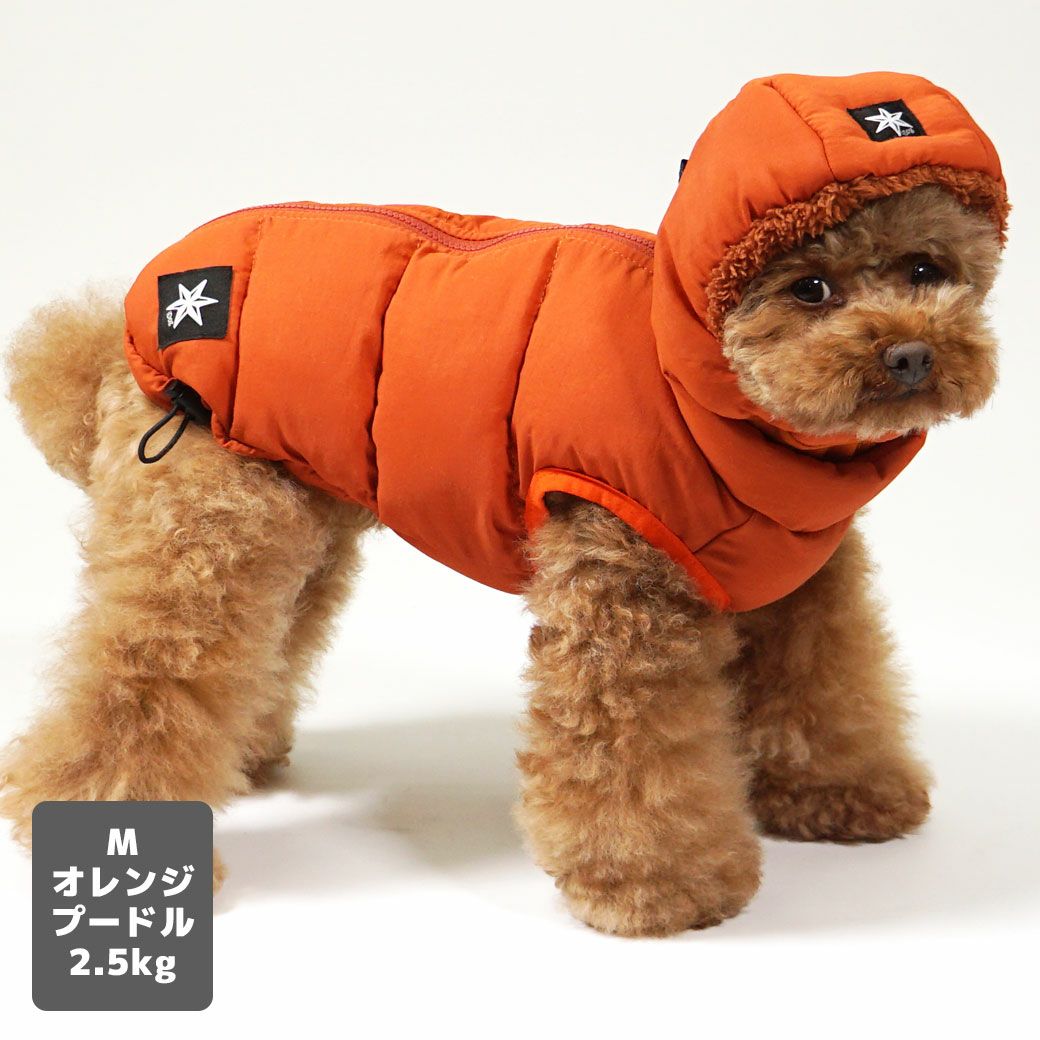 プードル2.5kg(首19/胴31/丈26cm)のグミちゃんはオレンジのMを着用