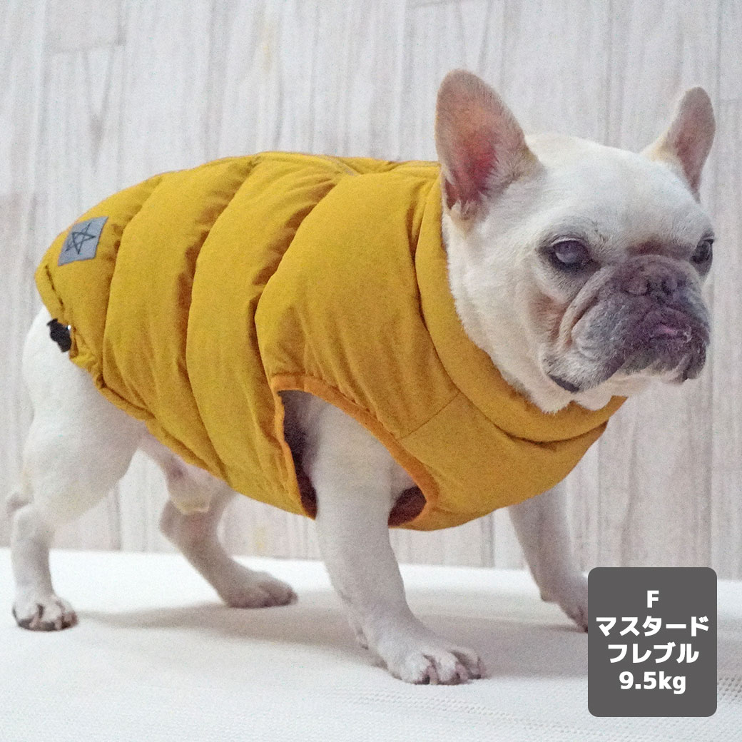 プードル2.5kg(首19/胴31/丈26cm)のグミちゃんはオレンジのMを着用