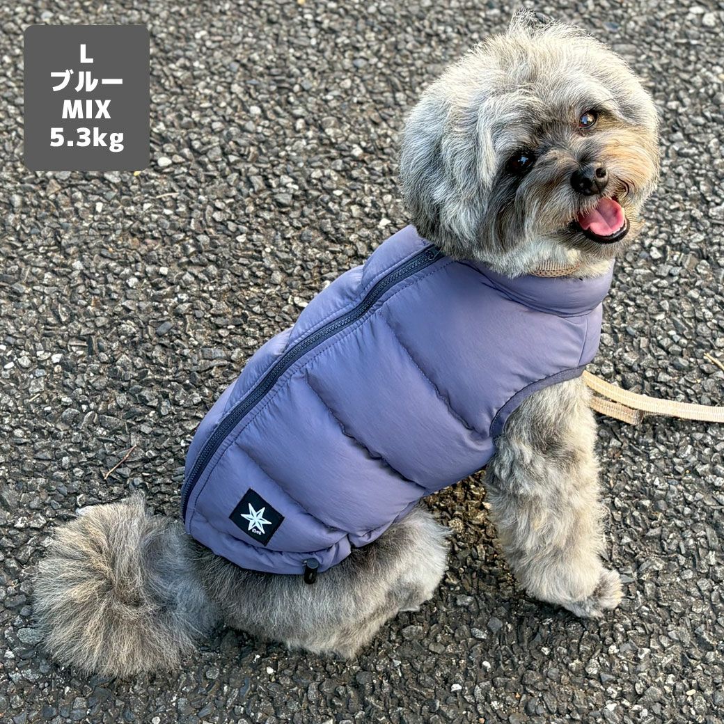 MIX5.3kg(首28/胴42/丈35cm)のごまくんはスレートブルーのLを着用