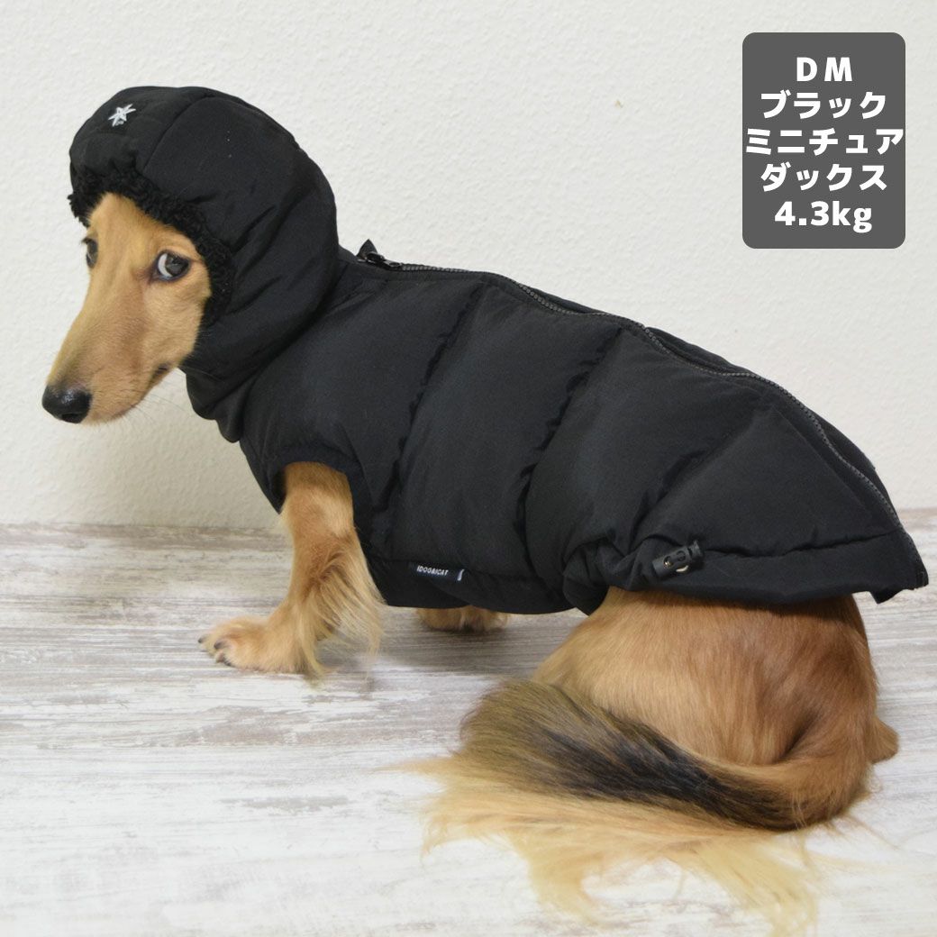 ミニチュアダックス4.3kg(首27/胴40/丈33cm)のALFaくんはブラックのDMを着用