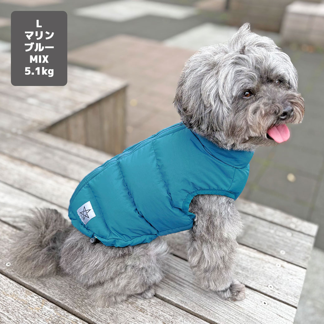 ミニチュアダックス4.3kg(首27/胴40/丈33cm)のALFaくんはブラックのDMを着用